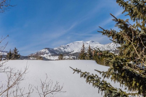 Snowflower 33 - image 10
