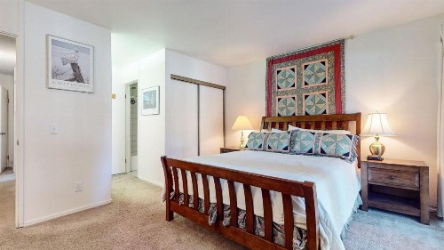 Summit Condominium #273 Condo - image 34