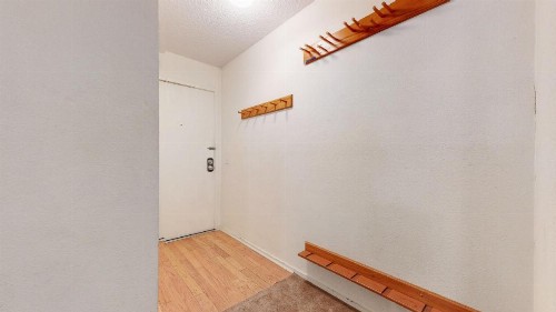Summit Condominium #273 Condo - image 35