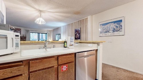Summit Condominium #273 Condo - image 38