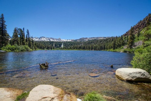 Bridges 202 - image 12