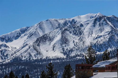 White Mountain Lodge #2329 - image 4