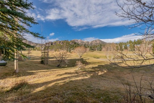 Snowcreek V 733 - image 3