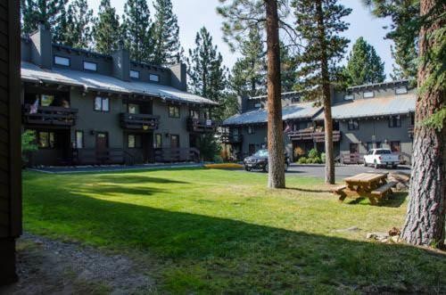 Mammoth Pines #02 - image 4