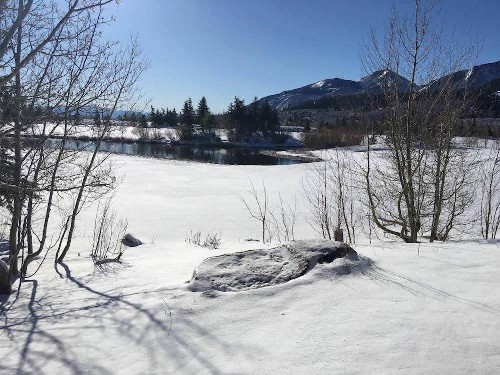 The Lodges #1203 - image 11