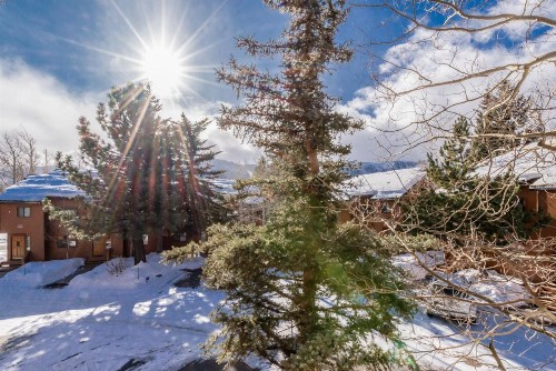 Snowflower 12 - image 20