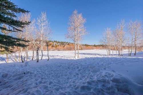 Snowcreek - #510 Phase IV - image 17