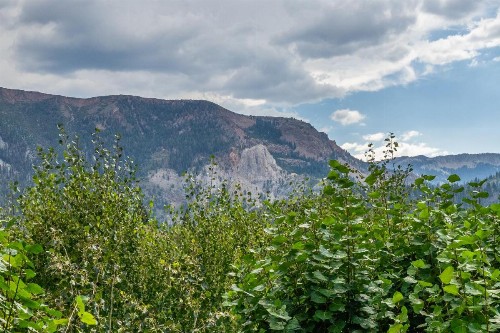 Snowcreek #97 Phase I - image 24