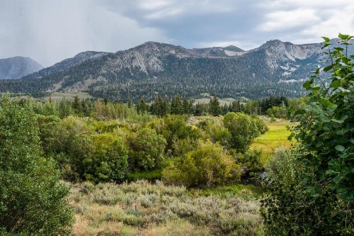 Snowcreek #97 Phase I - image 39