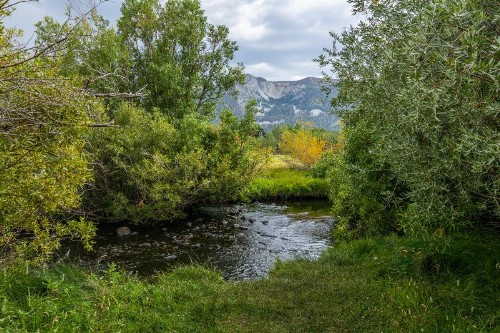Snowcreek #97 Phase I - image 40