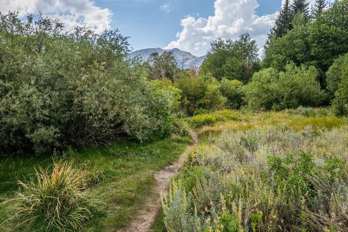 Snowcreek #97 Phase I - image 47