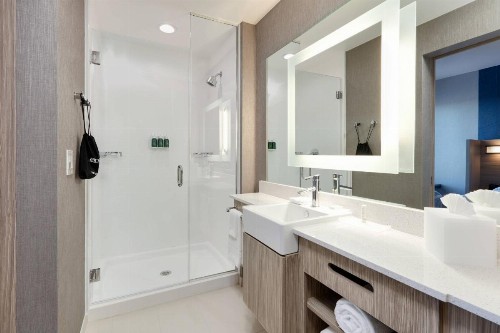 SpringHill Suites by Marriott Dallas Mansfield - image 18