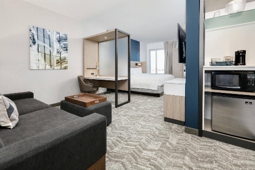 SpringHill Suites by Marriott Dallas Mansfield - image 23
