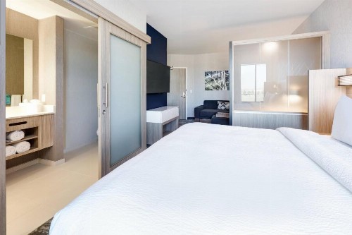 SpringHill Suites by Marriott Dallas Mansfield - image 27