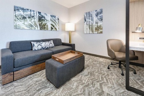 SpringHill Suites by Marriott Dallas Mansfield - image 28