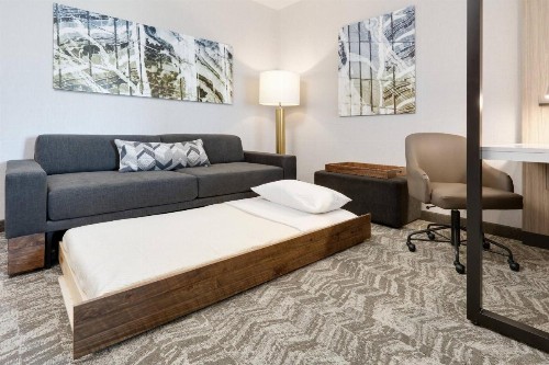 SpringHill Suites by Marriott Dallas Mansfield - image 29