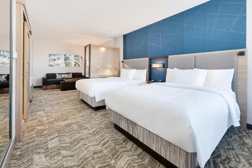 SpringHill Suites by Marriott Dallas Mansfield - image 30