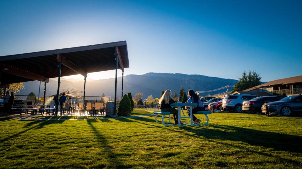 Mountain View Lodge - image 3