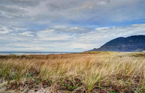 Manzanita Downtown Cabin MCA #547 - image 7