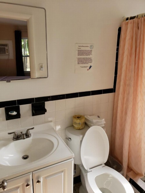 Siesta Motel - image 16