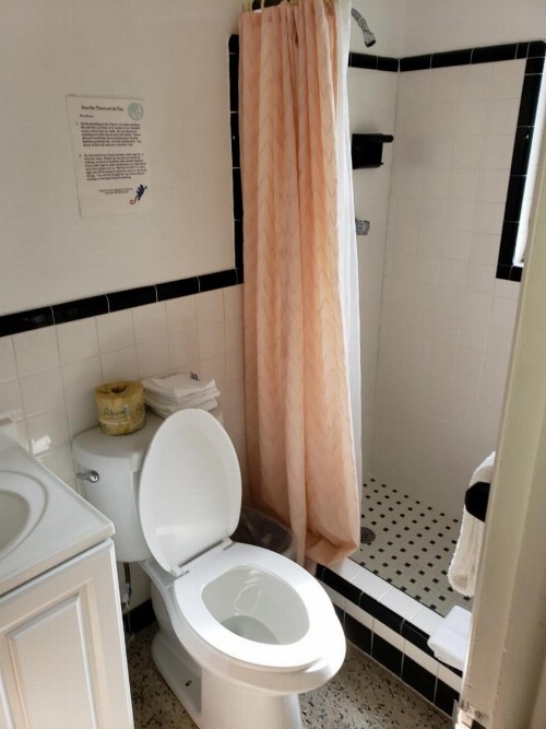 Siesta Motel - image 17