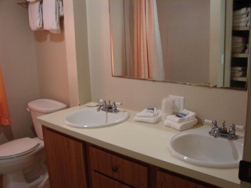 Siesta Motel - image 2