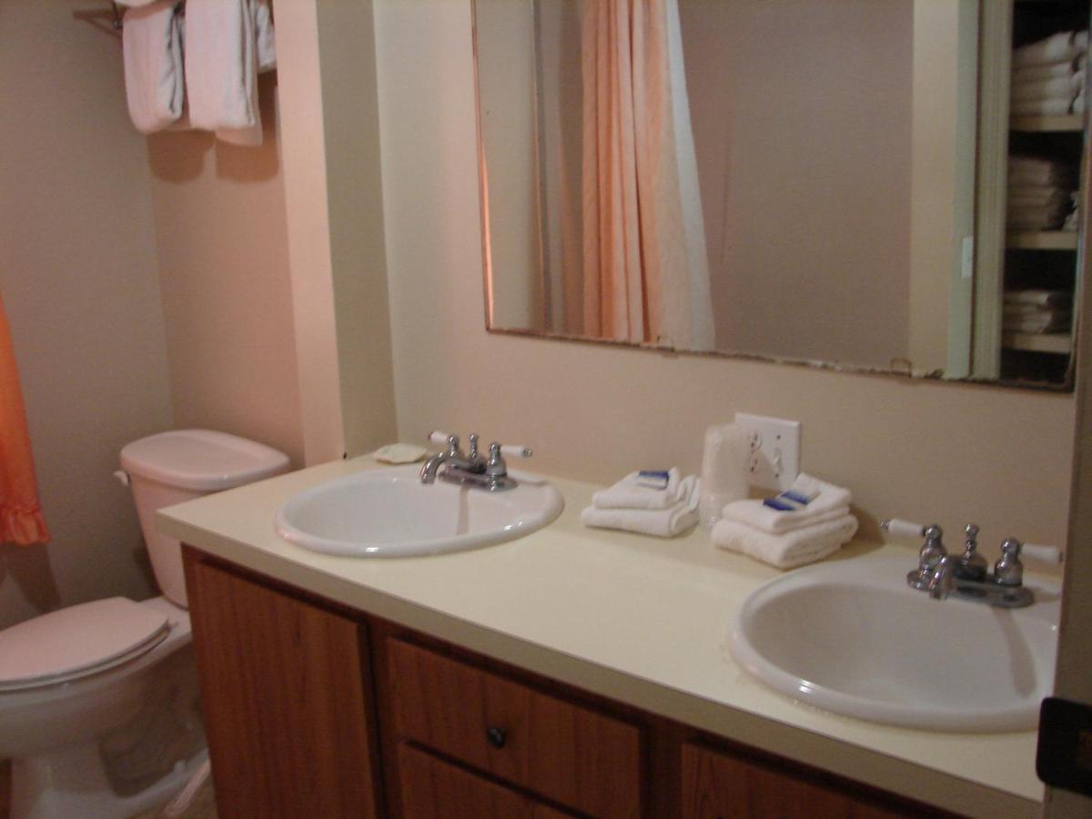 Siesta Motel - image 2