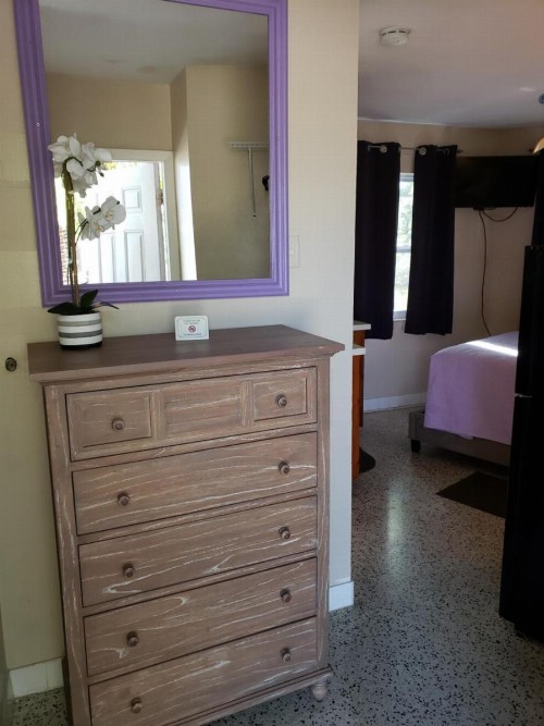 Siesta Motel - image 5