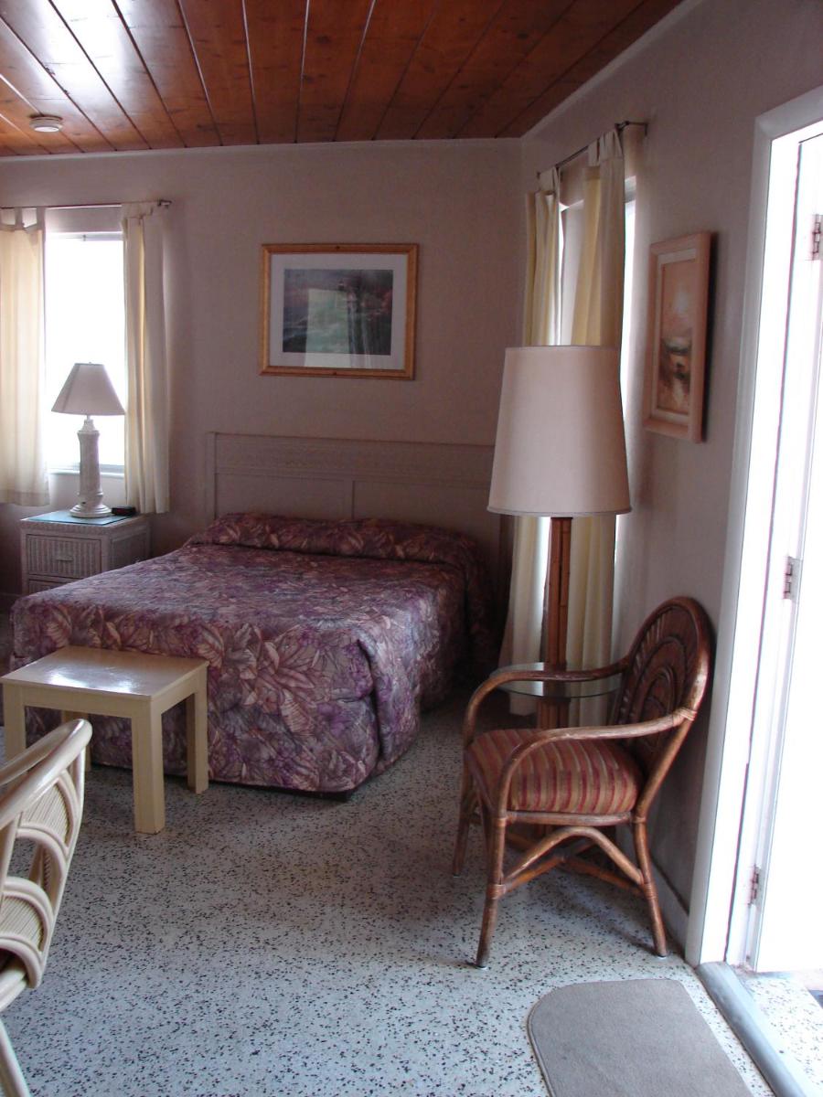 Siesta Motel - image 6