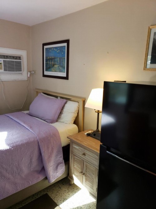 Siesta Motel - image 8