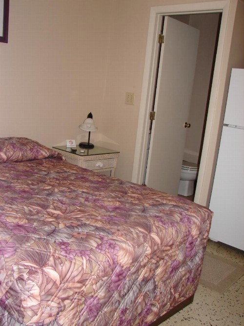 Siesta Motel - image 9