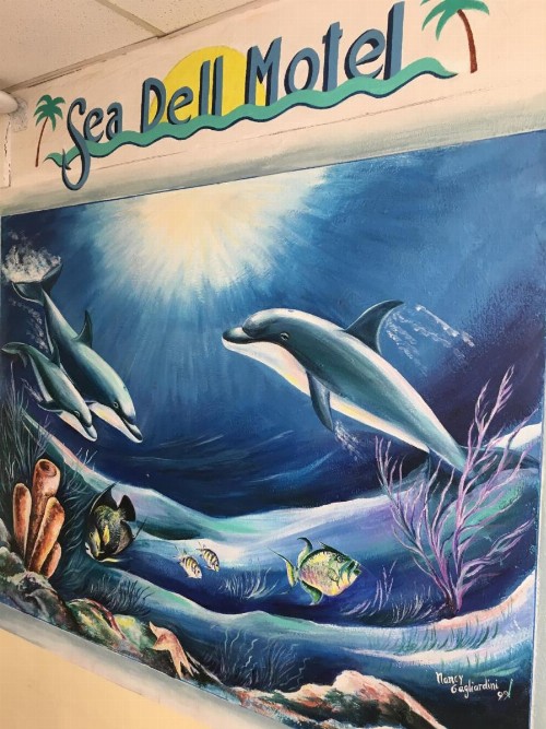 Sea Dell Motel - Marathon - image 18