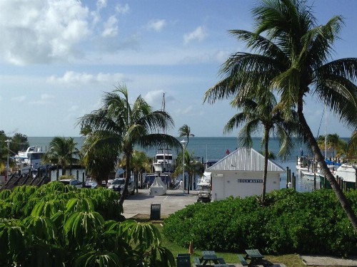 Banana Bay Resort & Marina - image 13
