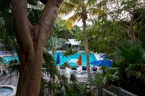 Banana Bay Resort & Marina - image 16