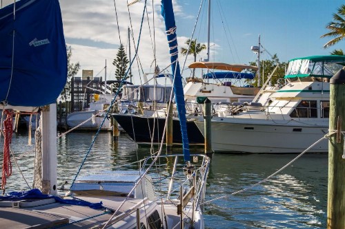 Banana Bay Resort & Marina - image 31