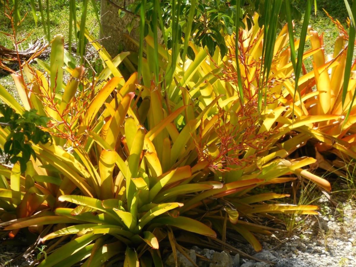 Island Hideaway - Florida Keys - image 5