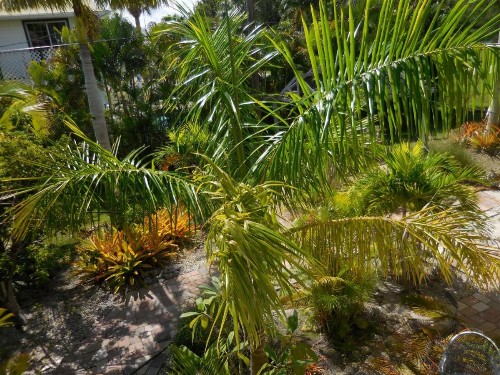 Island Hideaway - Florida Keys - image 6