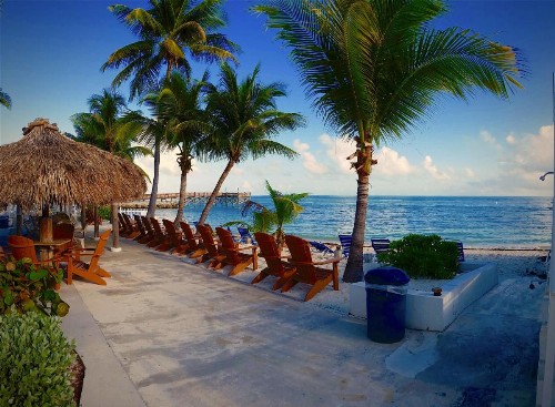Key Colony Beach Motel - image 7