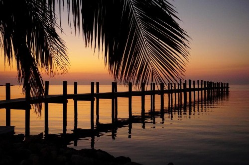 Million Dollar View - image 7
