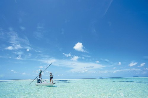 Coco Plum Beach & Tennis Club & Marina - image 16