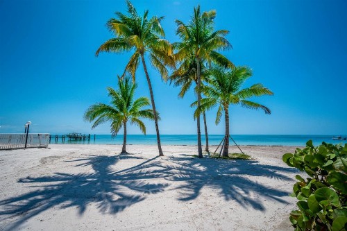 Coco Plum Beach & Tennis Club & Marina - image 21