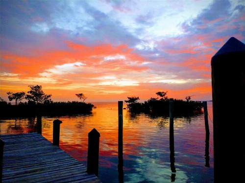 Conch Key Fishing Lodge & Marina - image 15