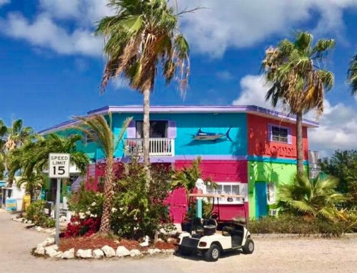 Conch Key Fishing Lodge & Marina - image 23