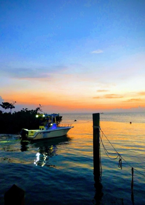 Conch Key Fishing Lodge & Marina - image 26