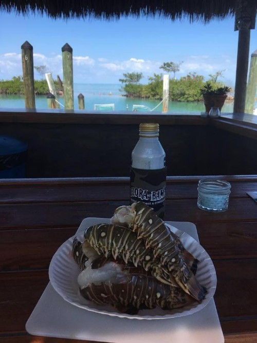 Conch Key Fishing Lodge & Marina - image 31