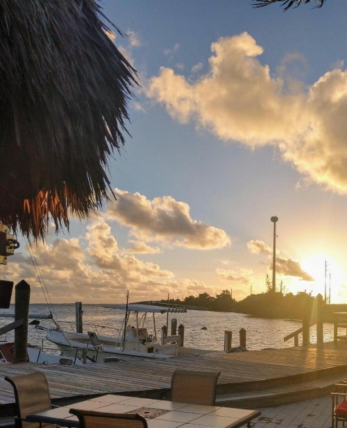 Conch Key Fishing Lodge & Marina - image 40