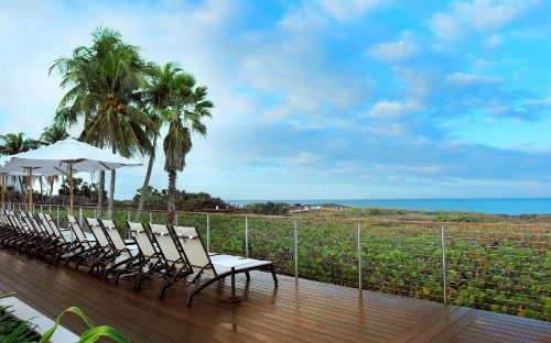 Hilton Marco Island Beach Resort and Spa - image 8