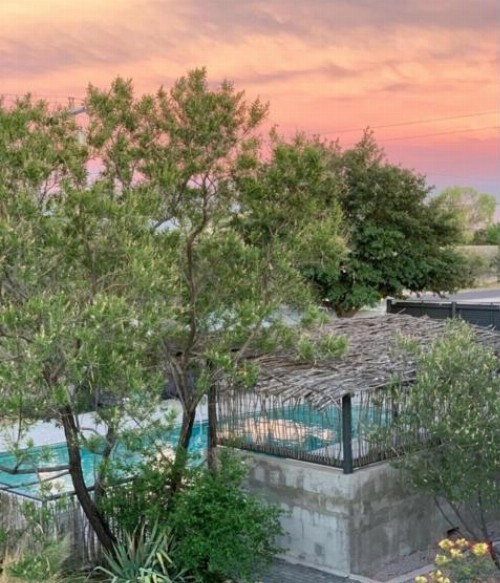 Thunderbird Hotel Marfa - image 27