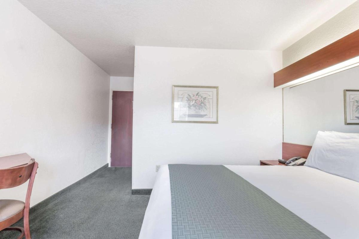 Microtel Inn & Suites Marianna - image 5