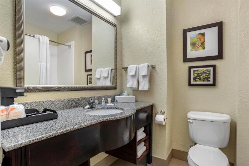 Comfort Inn & Suites Marianna I-10 - image 37